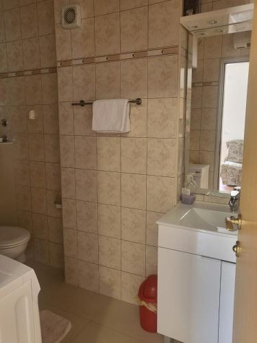 a bathroom with a sink and a toilet at Apartments Mimoza in Slano