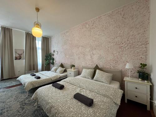 2BDR Pretty Apartment in the Local Area of Prague