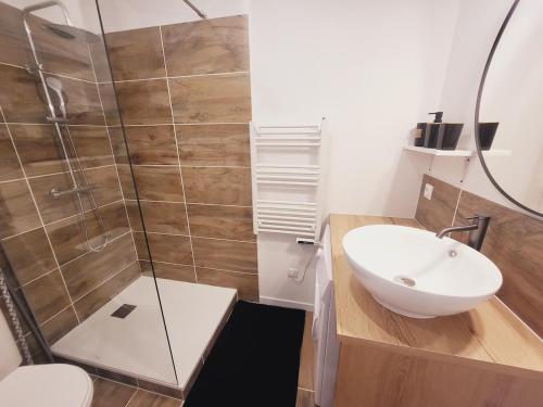 une salle de bain avec un lavabo et une douche dans l'établissement Leni, appartement intramuros, à Avignon