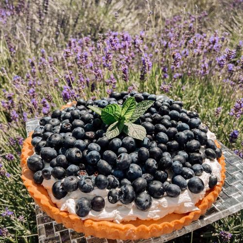 a blueberry pie sitting on a table in a field at Lawendowe Termy in Uniejow