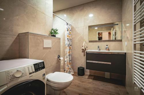une salle de bain avec toilettes et lavabo dans l'établissement Le Duplex 80m2, Terrasse privée, Parking, à Thyez