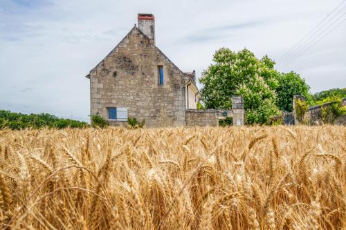 Maison de campagne sud Touraine avec piscine 8px
