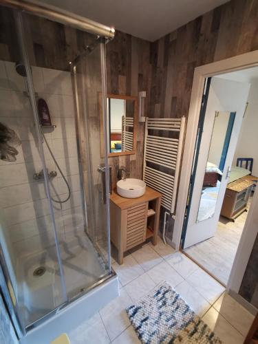 une salle de bain avec douche et lavabo dans l'établissement La maison du bonheur, à Le Cateau
