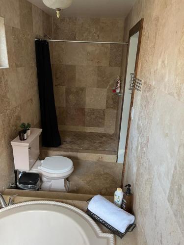 a bathroom with a shower and a toilet and a tub at Leucadia Coastal House in Encinitas