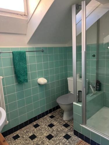 a green tiled bathroom with a toilet and a shower at Spacious House with Mountain View in Haut-Intyamon in Les Sciernes d'Albeuve