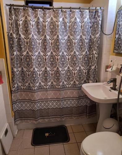 a bathroom with a shower curtain and a sink at My apartment in New York
