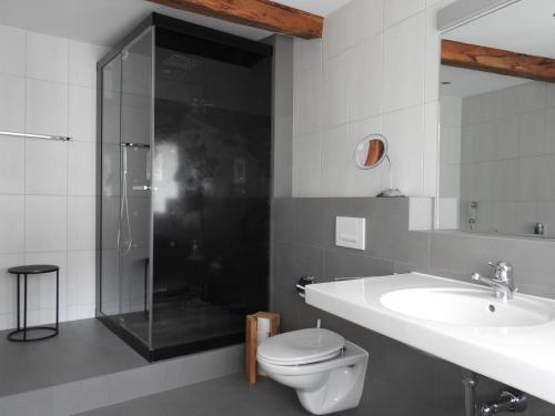 a bathroom with a toilet and a sink and a shower at Hotel Spöl Restaurant in Zernez