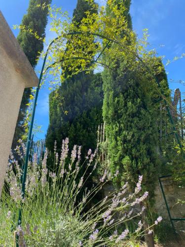 a view of a garden with trees and flowers at Domaine Lafayette in Loriol-du-Comtat