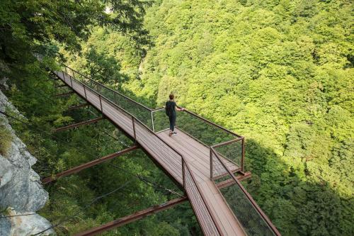 a man walking on a bridge in the forest at Guest House Fazisi in Kutaisi