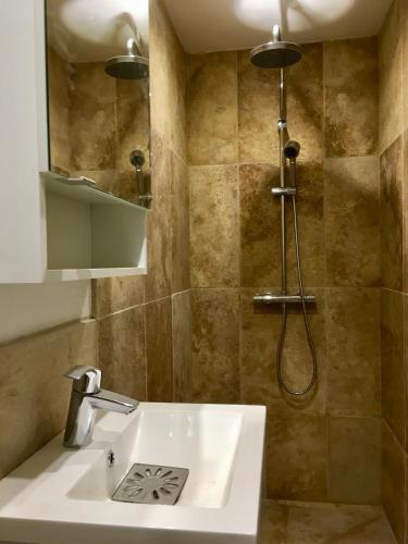 une salle de bain avec un lavabo et une douche dans l'établissement maison pechauzi, à Castelnau-de-Montmiral