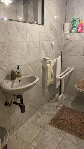 a bathroom with a sink and a toilet at FreiNestWaldviertel in Hoheneich
