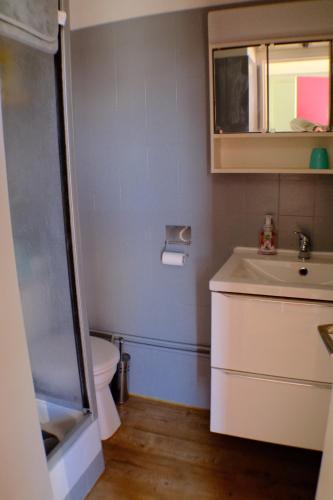 une petite salle de bain avec toilettes et lavabo dans l'établissement Le studio de Camille, à Saint-Étienne-en-Dévoluy