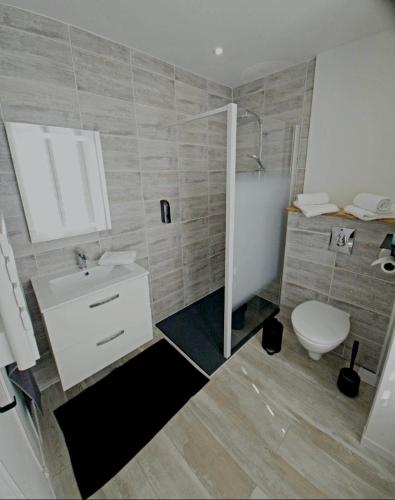 une salle de bain avec toilettes, lavabo et douche dans l'établissement logodrine2, à Lalouvesc