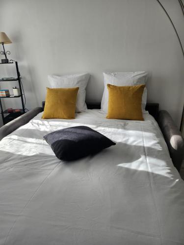 un grand lit blanc avec deux oreillers dessus dans l'établissement logodrine2, à Lalouvesc