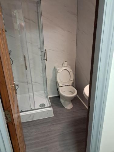 a bathroom with a toilet and a shower at Black Bull in Wylam