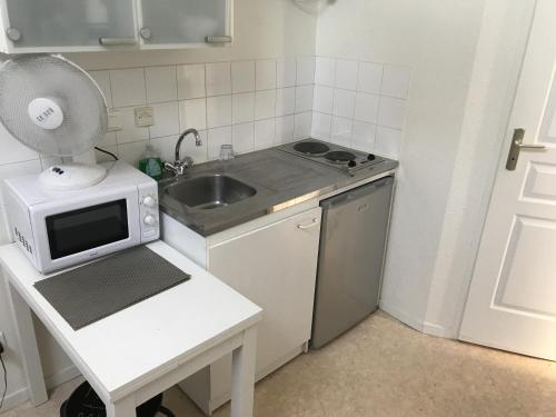 une petite cuisine avec un évier et un micro-ondes dans l'établissement Apartment Villeurbanne, à Villeurbanne