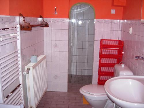 a bathroom with a toilet and a sink at Apartment U Sedláčků in Benecko
