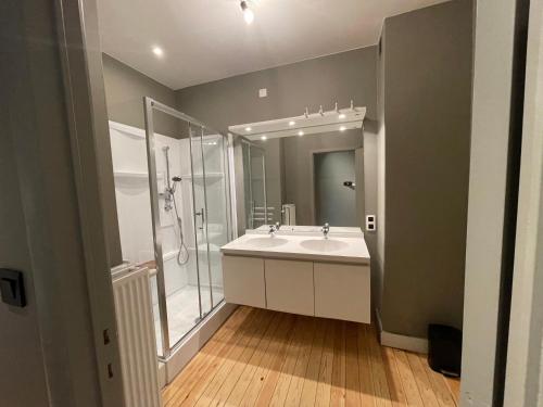 a bathroom with a large sink and a shower at -Le bel abri- à 2 pas de la mer in De Panne