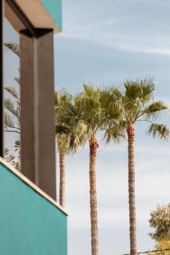 three palm trees in front of a building at Hotel Almirante in Alicante