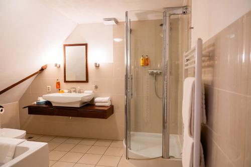 Koupelna v ubytování B&B Het Wellnest