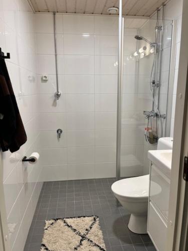 a white bathroom with a shower and a toilet at Relaxing&Cozy doubleroom home in Jyväskylä