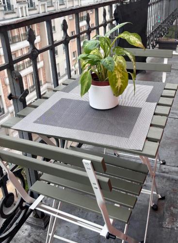 une table avec une plante en pot sur un balcon dans l'établissement Centre ville du Perreux near to Paris & Disneyland, à Le Perreux-Sur-Marne