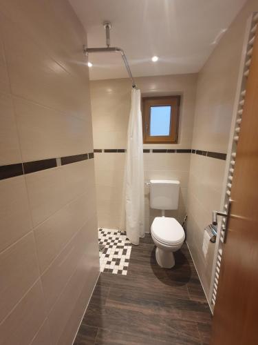 a bathroom with a toilet and a shower at Pension Scheuerbichl in Bischofswiesen