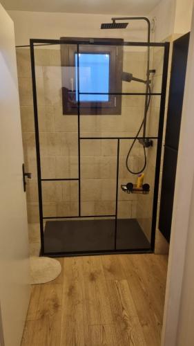une douche avec une porte vitrée dans une salle de bain dans l'établissement Joli logement spacieux, à Annecy