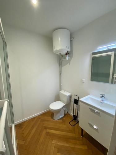 une salle de bain avec toilettes et lavabo dans l'établissement L'imprimerie A2, studio cosy au coeur de la Roche !, à La Roche-sur-Yon