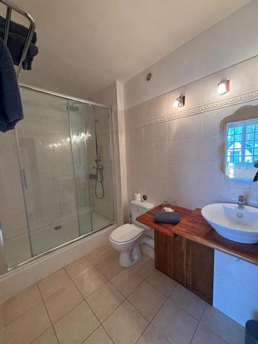 une salle de bain avec une douche, des toilettes et un lavabo dans l'établissement Auberge des Ruines de Merle, à Saint-Cirgues-la-Loutre
