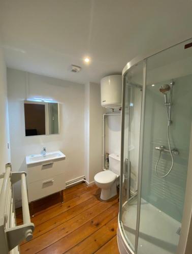 une salle de bain avec une douche, des toilettes et un lavabo dans l'établissement L'Imprimerie B1, studio cosy au coeur de La Roche, à La Roche-sur-Yon