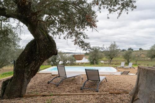 a swimming pool with two chairs and a tree at Monte Santo António - Alqueva in Mourão
