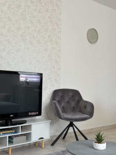 TV a/nebo společenská místnost v ubytování Galagonyás Apartman Esztergom