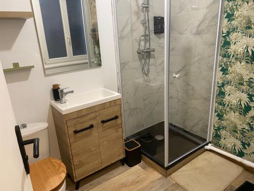 une salle de bain avec douche et lavabo dans l'établissement Le 12 Epernay, à Épernay