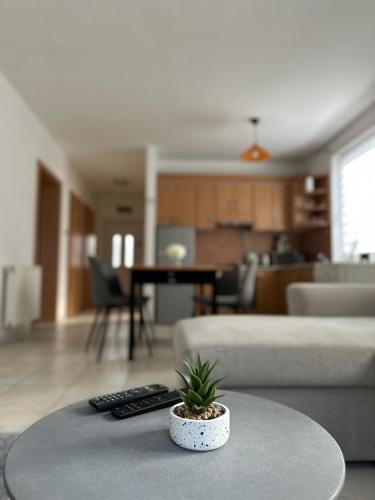 Posezení v ubytování Galagonyás Apartman Esztergom