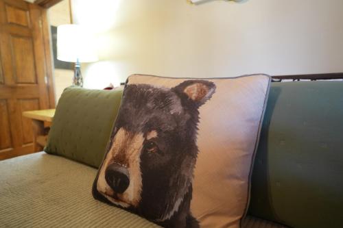 Love Shack photo 17
