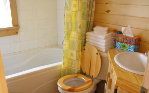 a bathroom with a toilet and a sink and a tub at Chalets Nature Océan in Perce