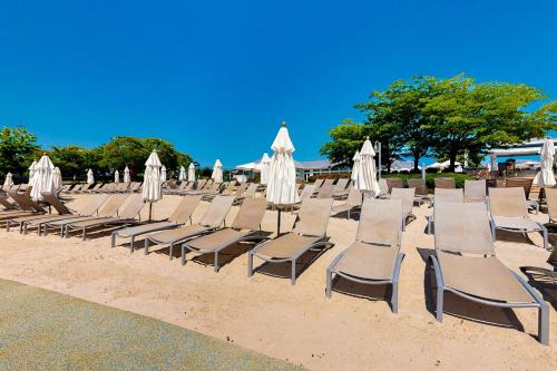 a row of lounge chairs and umbrellas on a beach at The Peninsula --- 27606 S Nicklaus Ave in Millsboro