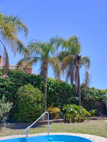 einen Pool mit Palmen im Hof in der Unterkunft CASA RIO TERCERO Cordoba Argentina in Río Tercero