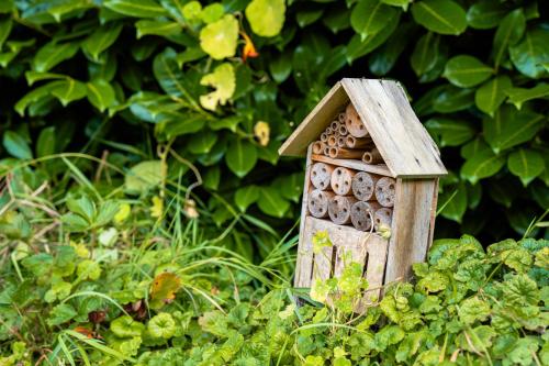 Jardín al aire libre en B&B Het Wellnest