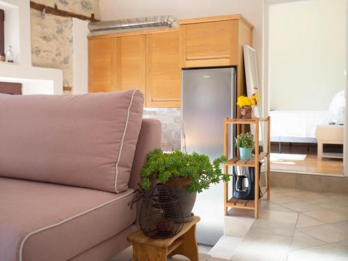 a living room with a couch and potted plants at Beautiful house with garden and amazing lake view in Kastoria