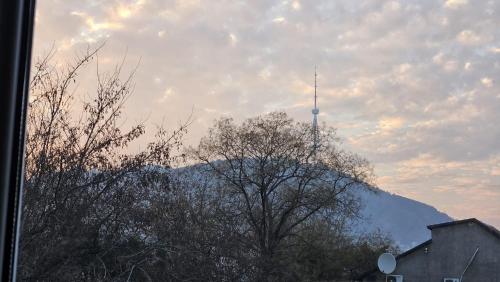 a mountain with a tv tower on top of it at Apartment Oxalis in Tbilisi City