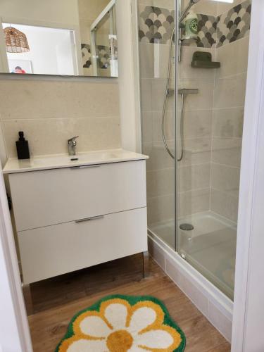 La salle de bains est pourvue d'un lavabo, d'une douche et d'un tapis. dans l'établissement 2- Bel appartement ville close WIFI Confort, à Concarneau