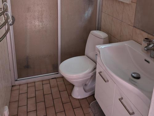 a bathroom with a toilet and a shower and a sink at Falkenberg Olofsbo Havsbad in Falkenberg