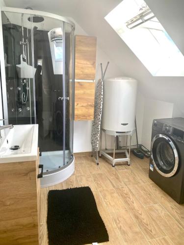 une salle de bain avec douche et lavabo et une machine à laver dans l'établissement Bienvenue en Bretagne, à Saint-Brieuc