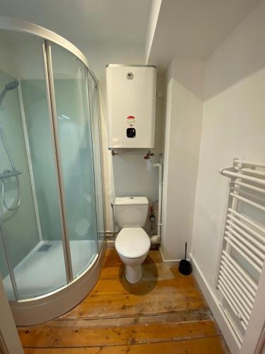 une petite salle de bain avec toilettes et douche dans l'établissement L'Imprimerie B2, studio cosy au coeur La Roche, à La Roche-sur-Yon