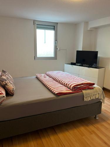 Кровать или кровати в номере Ferienwohnung 3 Löhr Koblenz