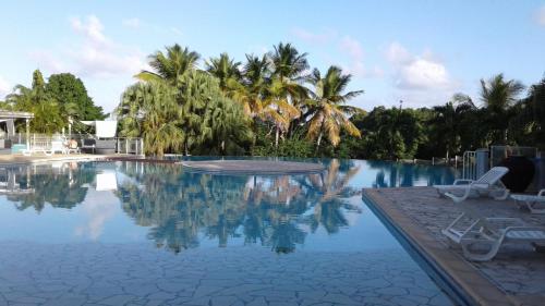 a swimming pool with two chairs and palm trees at Joli Duplex à St Francois in Saint-François