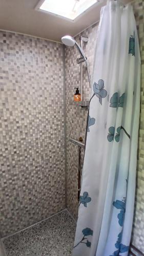 a shower with a shower curtain with flowers on it at De Leeuwenbergh in Boven-Leeuwen