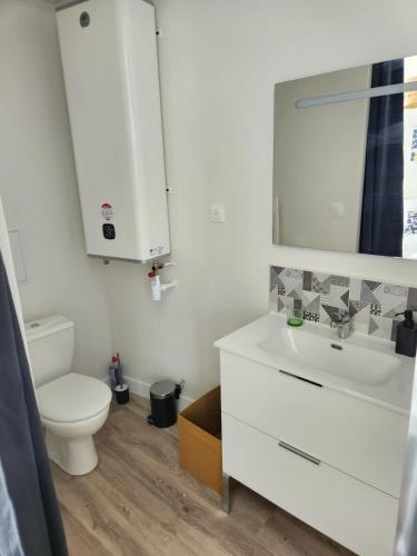 une salle de bain avec toilettes, lavabo et miroir dans l'établissement 3- Vue sur le port, la ville close, confort, WIFI, à Concarneau